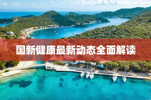 国新健康最新动态全面解读