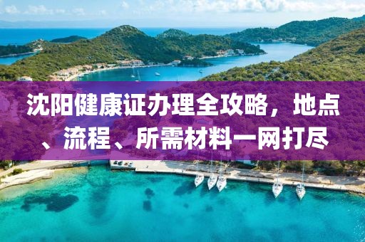 沈阳健康证办理全攻略，地点、流程、所需材料一网打尽