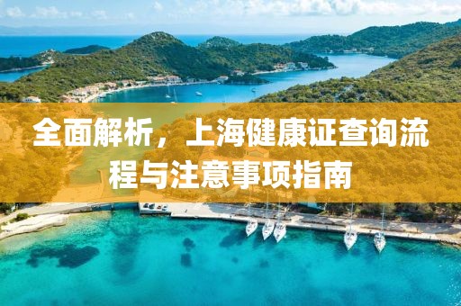 全面解析，上海健康证查询流程与注意事项指南