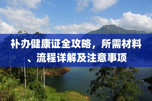 补办健康证全攻略，所需材料、流程详解及注意事项