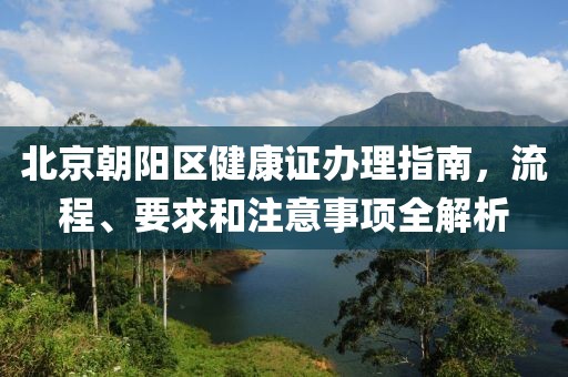 北京朝阳区健康证办理指南，流程、要求和注意事项全解析