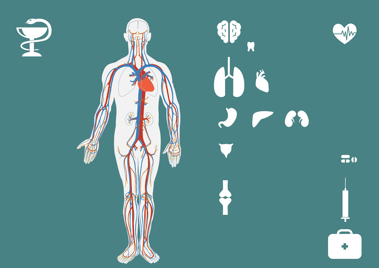 如何正确填写健康状况，方法与指南