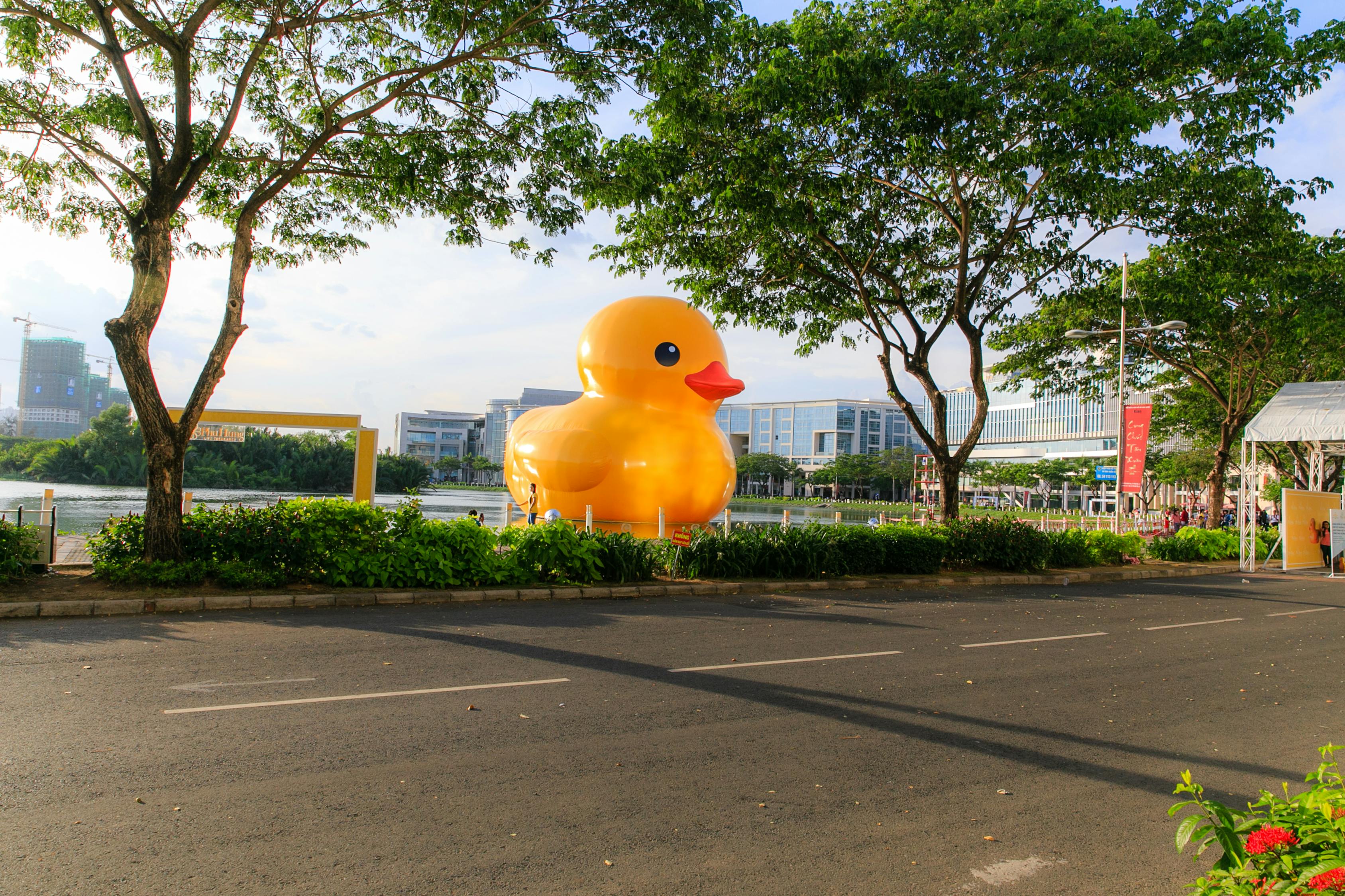 沈阳大健康，城市健康发展的新篇章